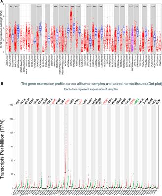 TLR3 serves as a novel diagnostic and prognostic biomarker and is closely correlated with immune microenvironment in three types of cancer